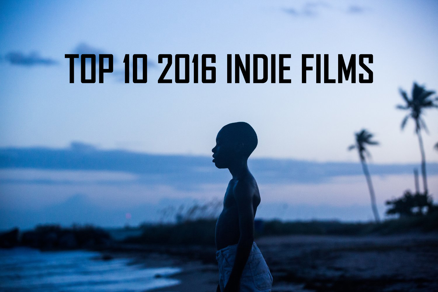 The Top 10 2016 Indie Films Sub Cultured